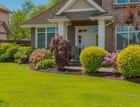 Professional Landscaping in Aurora CO