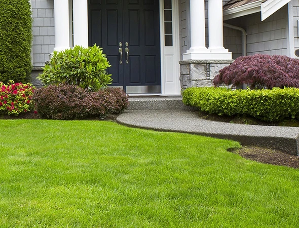 Why Choose Our Landscaping Services