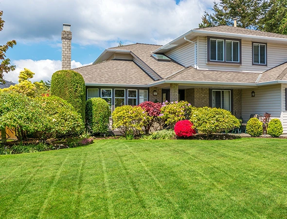 Expert Tree Trimming Service in Highland Ranch CO