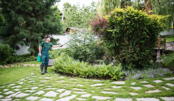 Garden & Outdoor Services