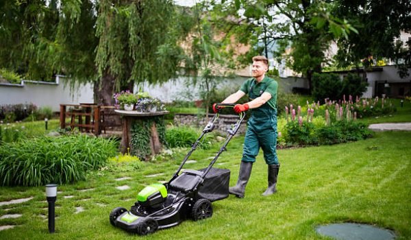 Tree Care and Outdoor Services